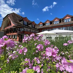 https://hotel-sternen-muri.hotelsbaselswitzerland.com