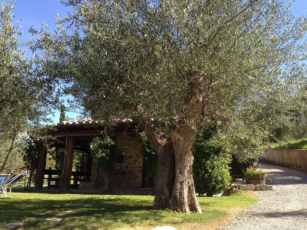 Podere Poggio Benedetto Saturnia 0*,  Italy
